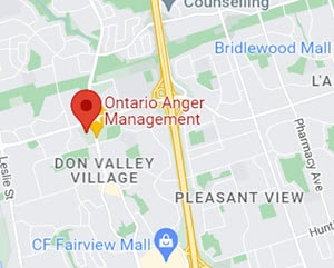 Anger Management Treatment Anger Control Map